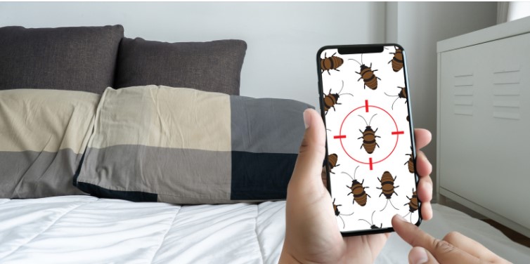 Natural ways to dispose of the bed bugs Get rid of bed bugs