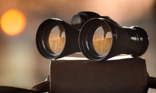 find a business owner