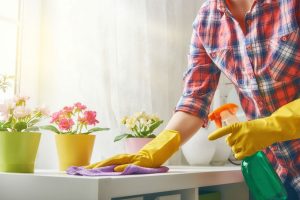 What role may a Cleaner have in your Life
