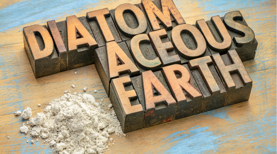 Diatomaceous Earth