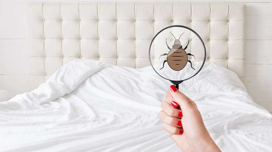 Identify the Infested Area