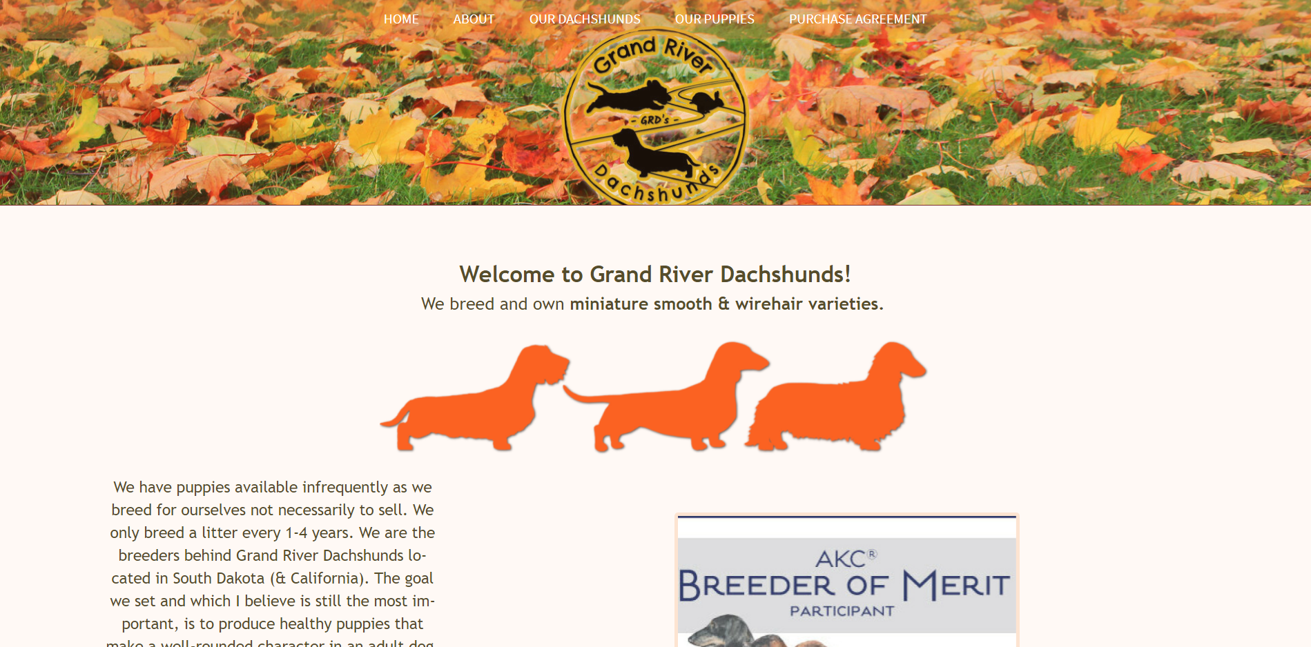 Grand River Dachshunds