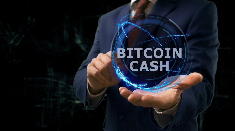 Is Bitcoin cash a good investment? Is bitcoin cash a good investment