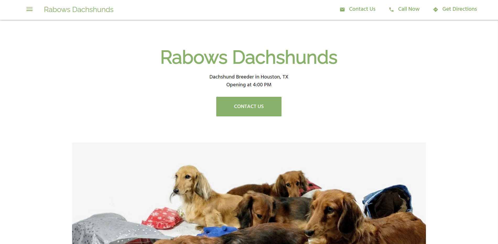 Rabows Dachshunds