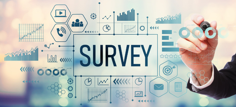 Surveys