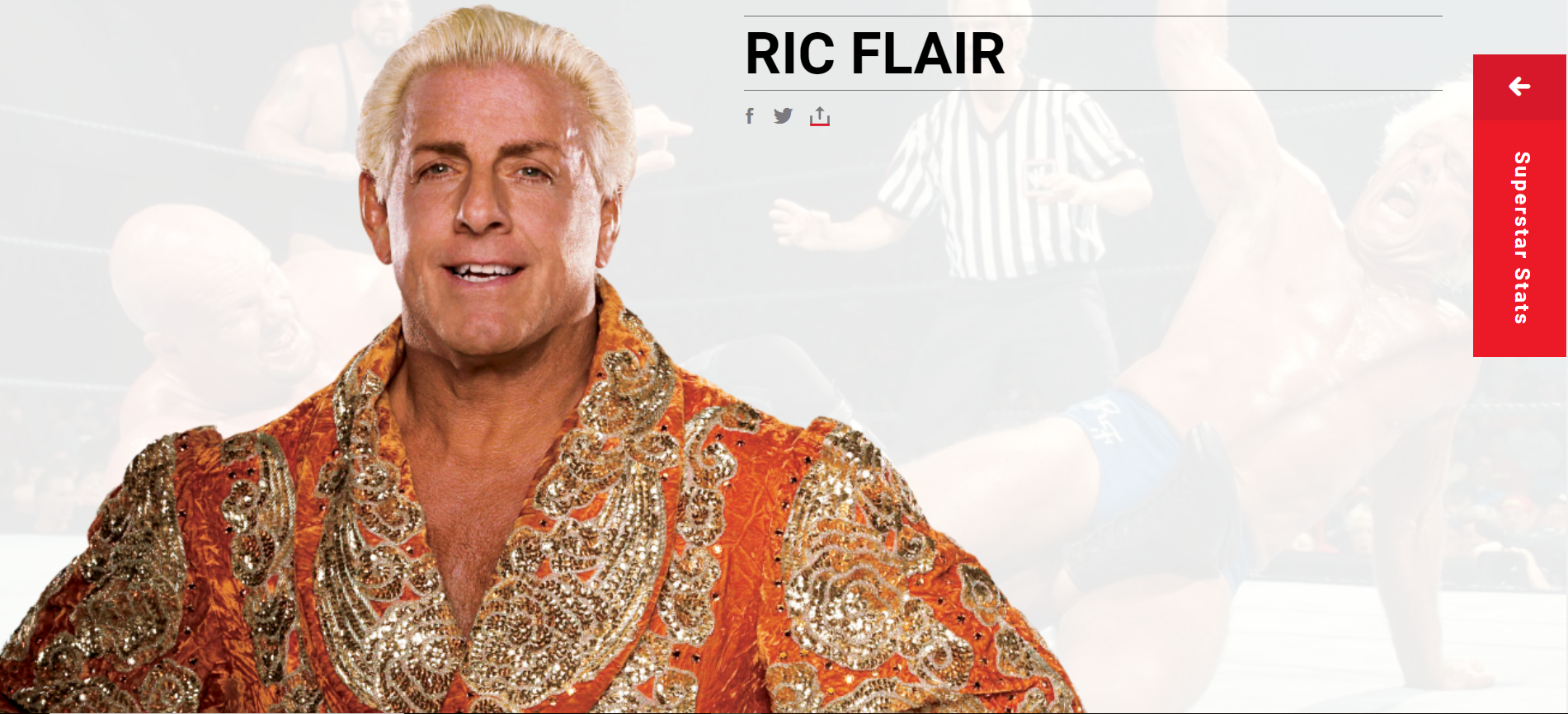 Ric Flair