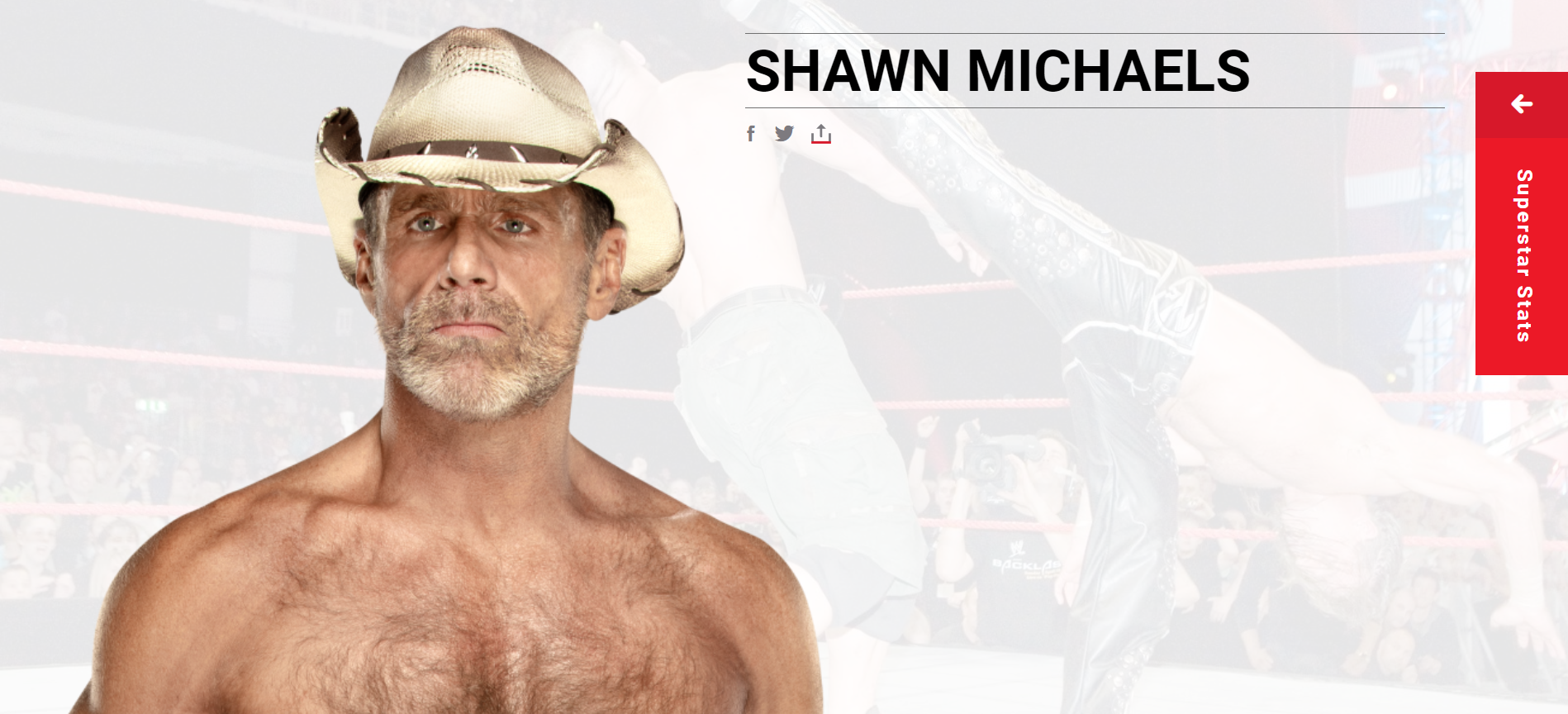 Shawn Michaels