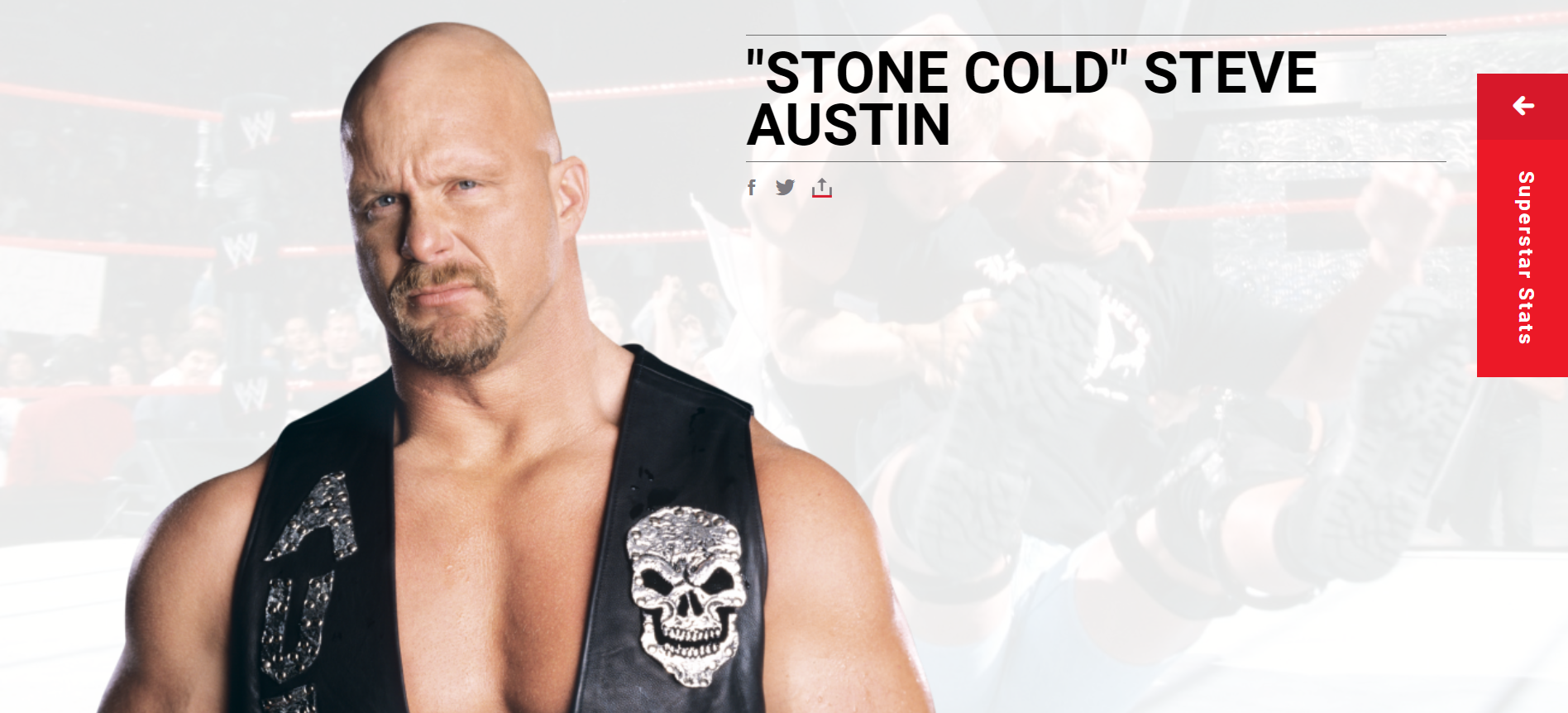 Stone Cold Steve Austin