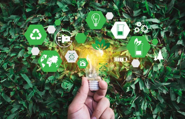 You can Save yourself money by Living Sustainably