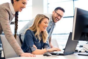 bespoke software partnership