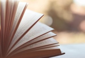 best books on how to start a business - million dollar consulting