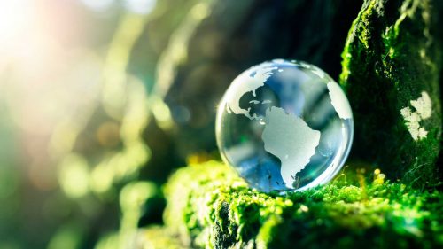 Embrace Digitalization