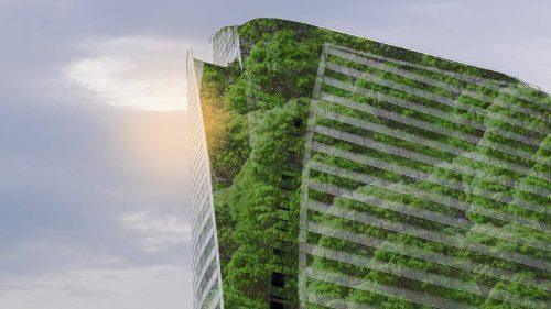 Implement Green Procurement Policies